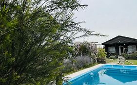 Cabana La America